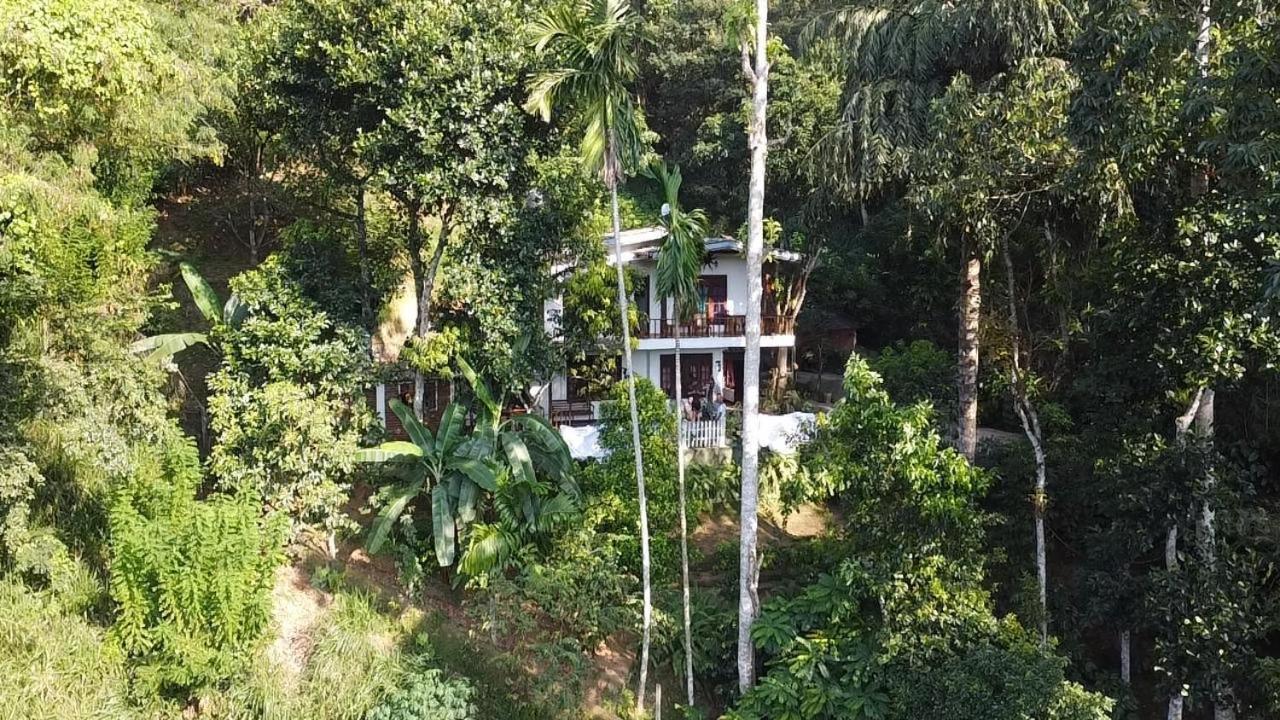 Villa25 Homestay Free Pick Up From The Centre Kandy Exteriör bild