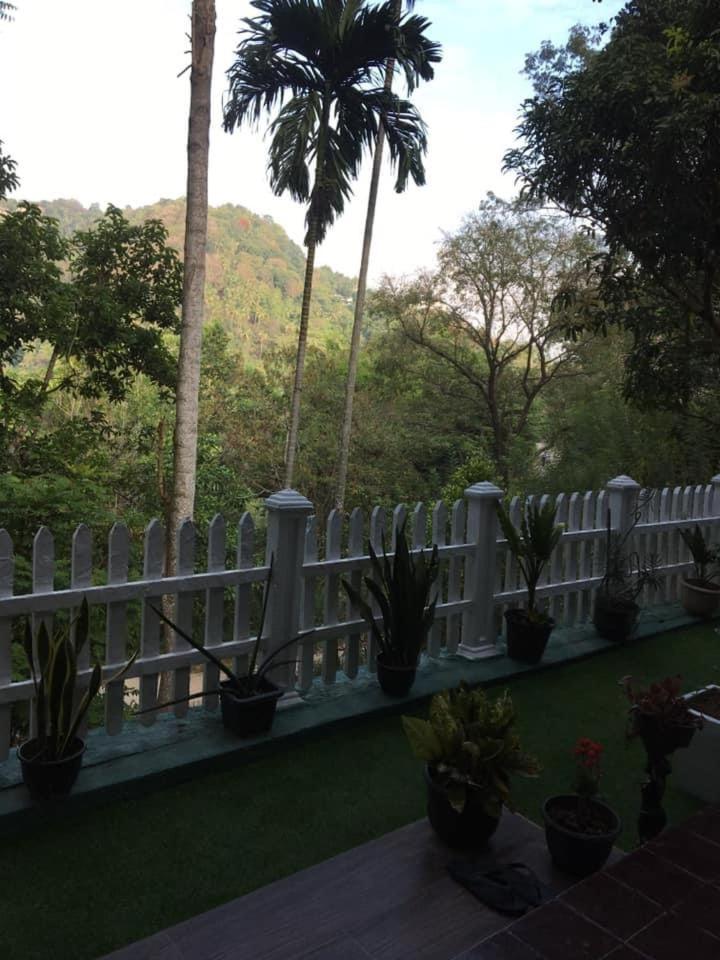 Villa25 Homestay Free Pick Up From The Centre Kandy Exteriör bild