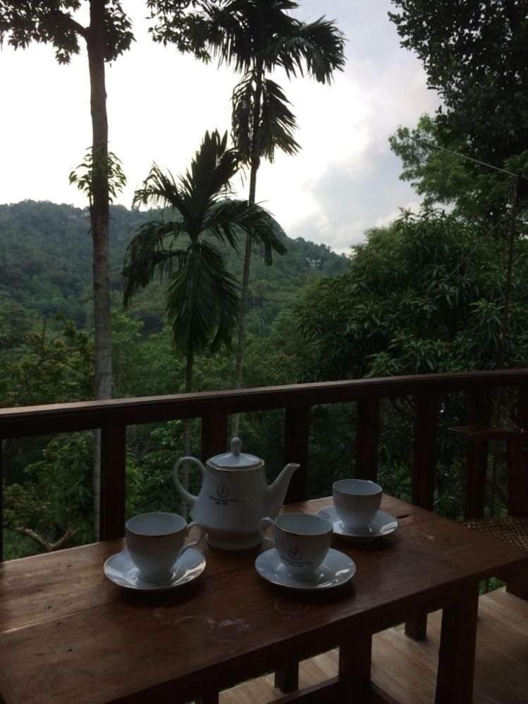 Villa25 Homestay Free Pick Up From The Centre Kandy Exteriör bild